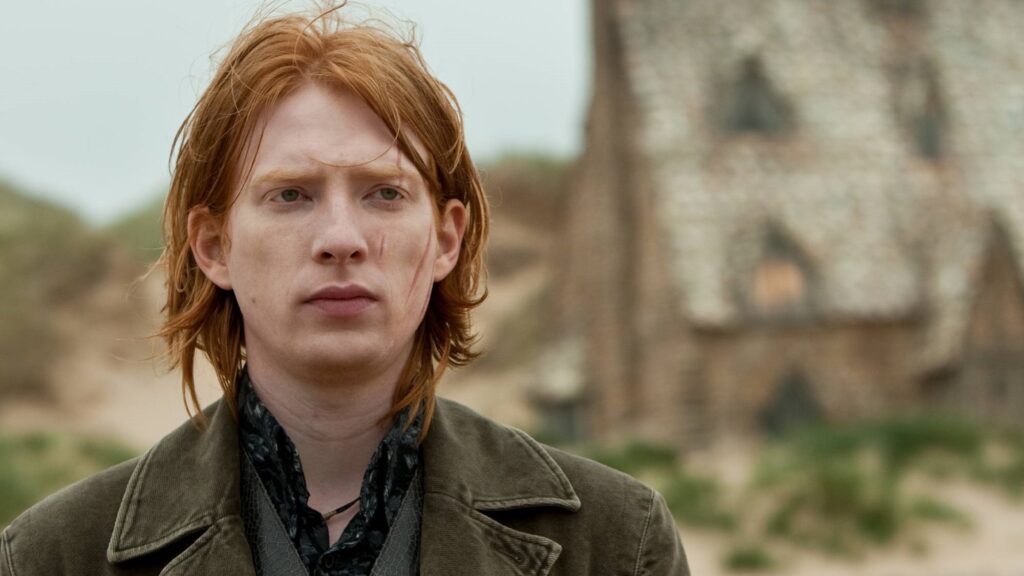 Gui Weasley - Harry Potter