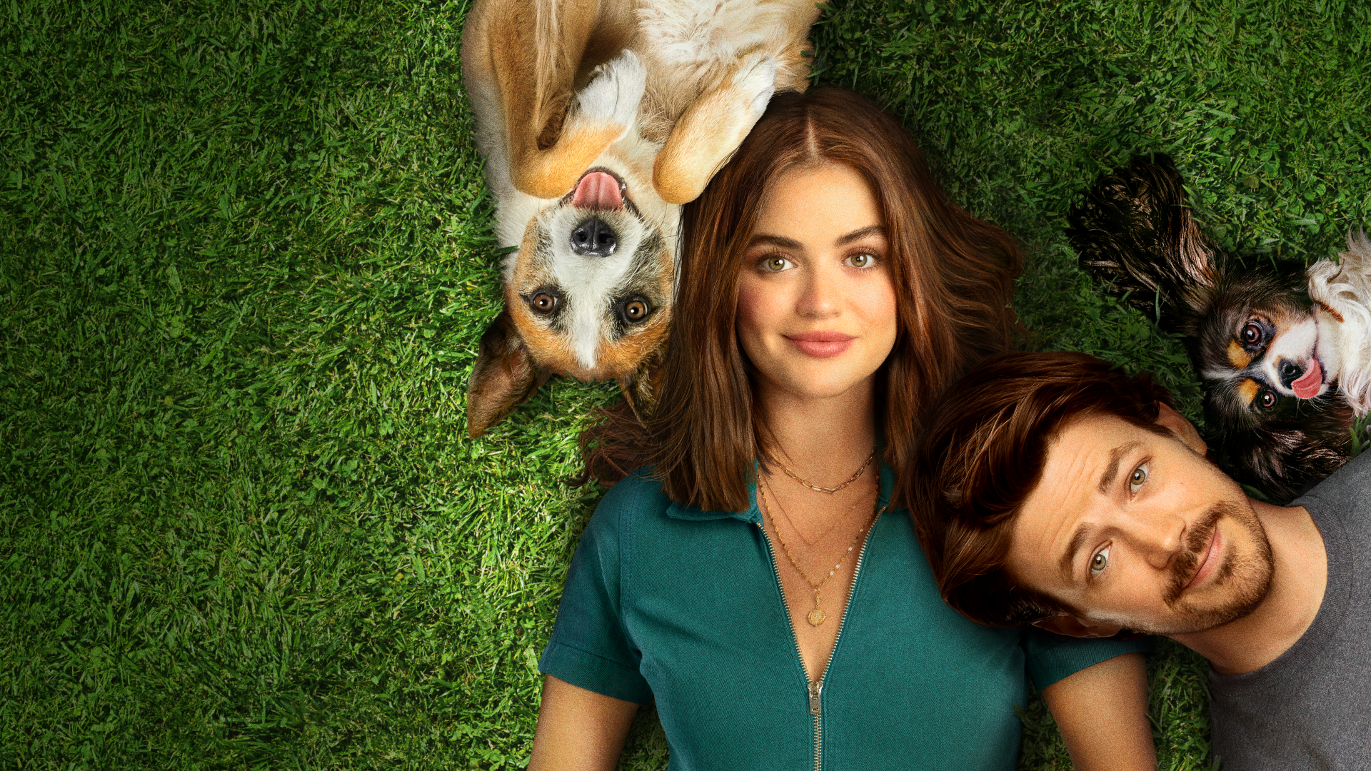 Puppy Love é uma das principais estreias da semana